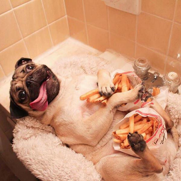 ComedyPosts's tweet photo. Mood http://t.co/fzYHgkn6wQ