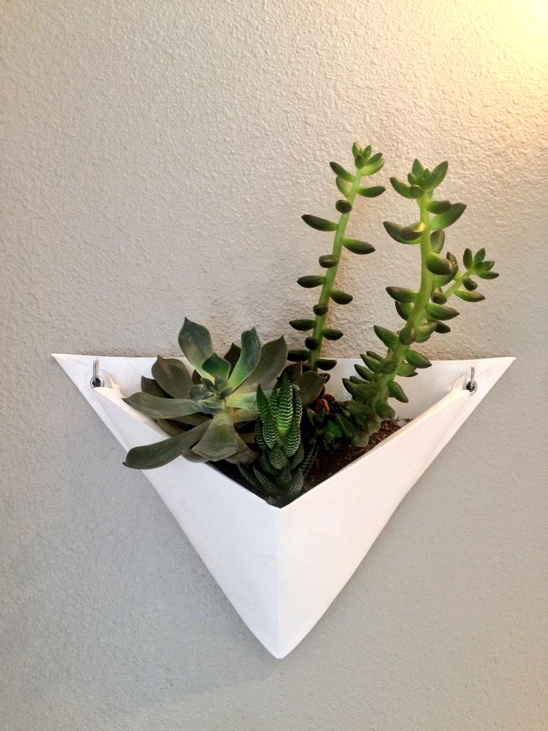 verdeveil's tweet photo. #gardenchat succulents and bamboos create a #GreenWall oasis with #origami wall #planters http://t.co/Hhtk0oQmeV
