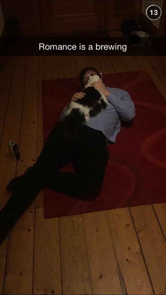 professorpear's tweet photo. I love cats. http://t.co/MTCO0SmTUx
