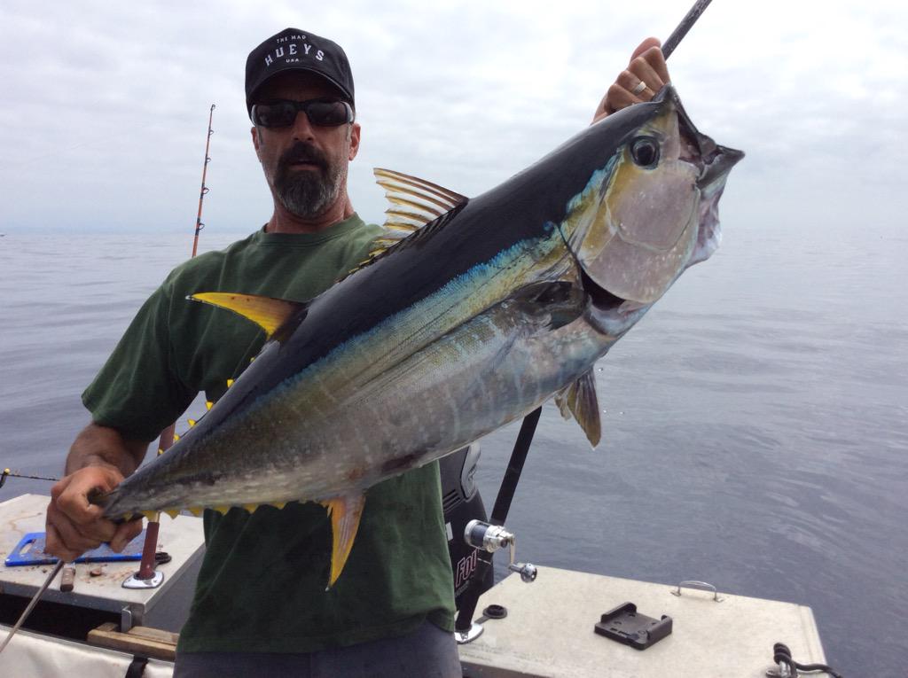 MarkMstonefish's tweet photo. Local YFT on the chew @themadhuis #stayoverit http://t.co/drGm7A7vjK
