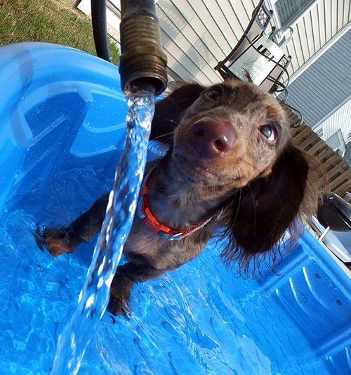 MellowHsvSOUTH's tweet photo. What it feels like to watch a bartender pour your drink. http://t.co/Yxj21x2aj3