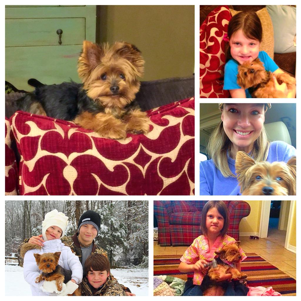 MissyDuckWife's tweet photo. Our dog Daisy passed away yesterday. She was Mia's little buddy for many years. #RIPDaisyMae #We'llMissYou #BraveMia http://t.co/PMSXOzuxdI