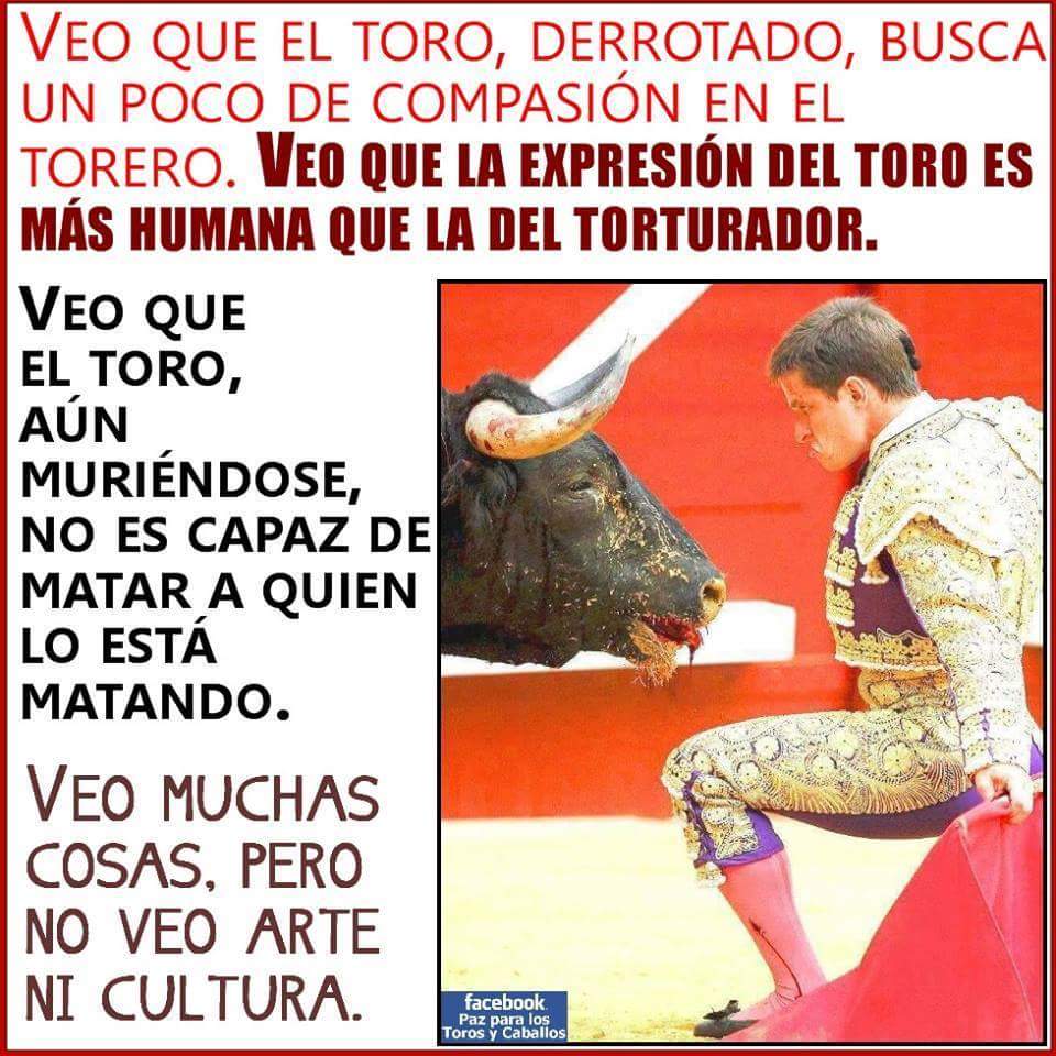 ChristianSecan's tweet photo. Definitivamente no veo "Arte" ni "Cultura" como algunos lo llaman :/

Ojalá tomemos consciencia. http://t.co/pjnRhgjuMx