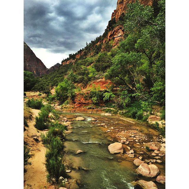NatlParksPhotos's tweet photo. can't beat these views. #zionnationalpark #zion #utah #nationalparks #travel #southwest  #landscape #hiking #outdoo… http://t.co/2HLLEwPdDE