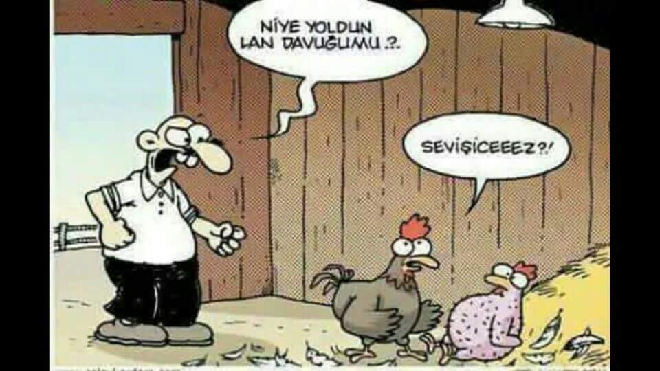 sncr (@sancar_dogan) on Twitter photo 