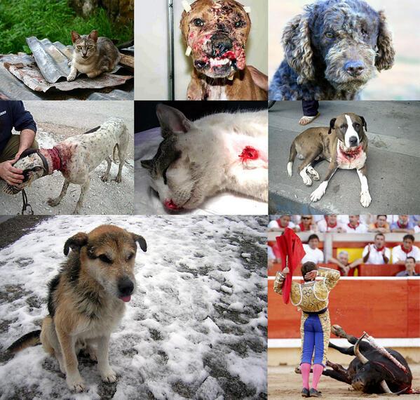 Paisajes Increíbles tweet media