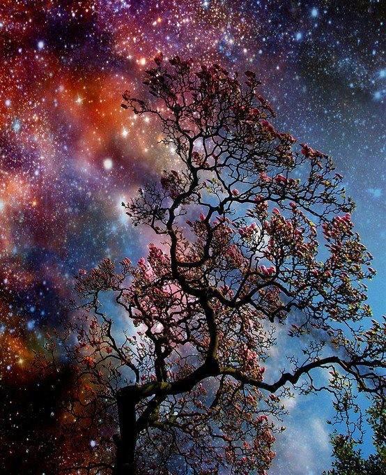 звездное небо. люди которые вдохновляют. ночь красота. ночь вдохновляет. ночное небо фэнтези.