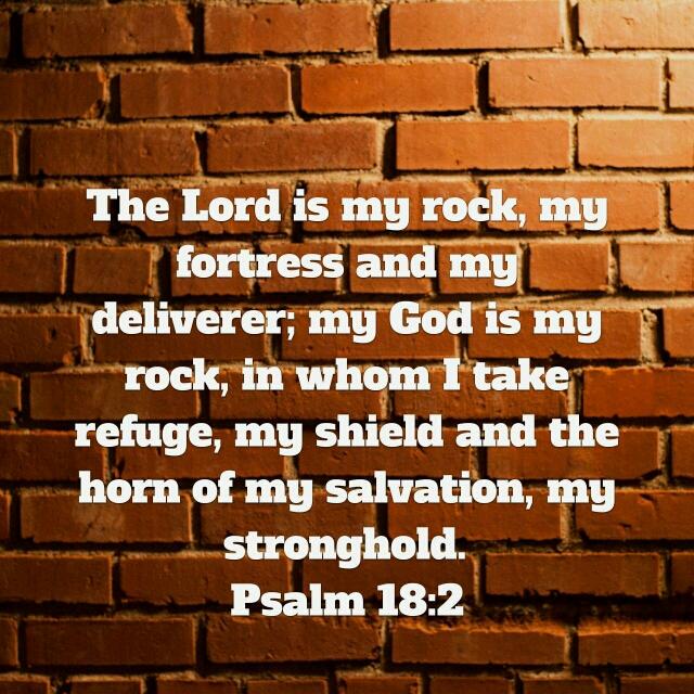 JDStrong's tweet image. bible.com/111/psa.18.2.N…