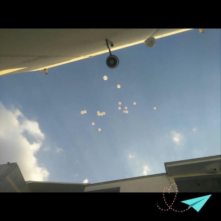 isarmendaris's tweet photo. #QEPD #PAVT 👼❤ http://t.co/Fbc6LAMlqk