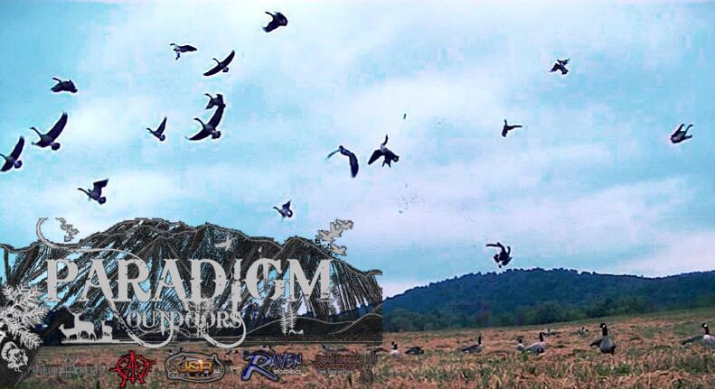 ParadigmTeam_1's tweet photo. Crumpletown. ETA 3 weeks. http://t.co/Od79UwegEi