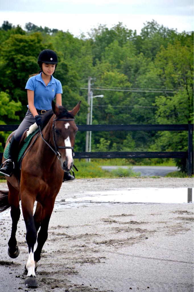 perfectstriding's tweet image. Welcome home big guy! 💙