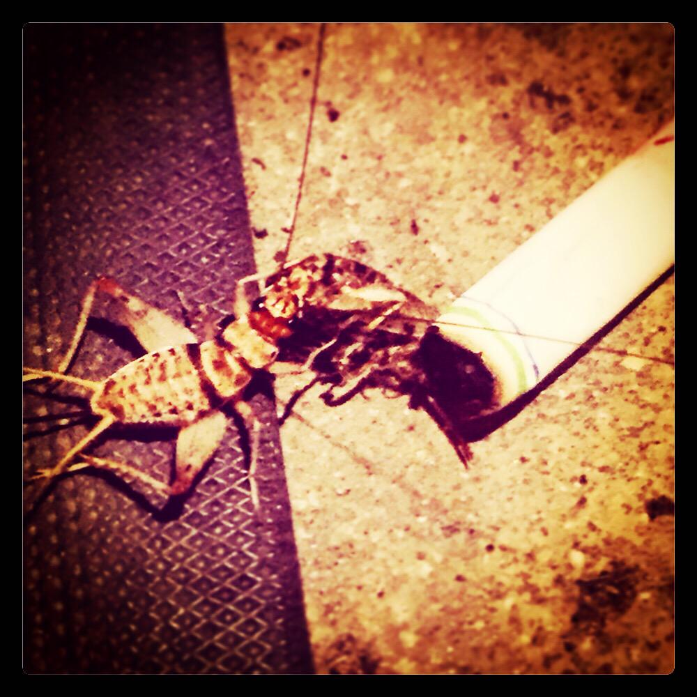 Peer pressure. #crickets