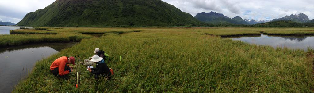 Rich Briggs tweet media