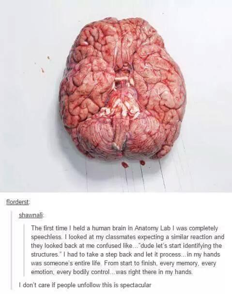 MindBlowing's tweet photo. this blows my mind http://t.co/HYKJbTZ6LC
