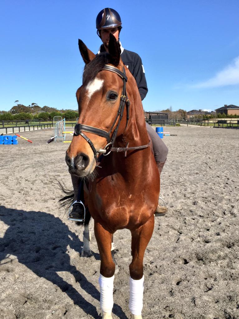RV_OffTheTrack's tweet photo. Fresh from a workout, @MI3DE_AU champs Koko Pop &amp; @PalmRobg look spot on ahead of the @RacingInsider Triequithon http://t.co/ORPIg9NfmE