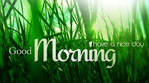DhanekStore's tweet photo. A very warm GOOD MORNING from dhanek store... http://t.co/FazWI4w9Rm