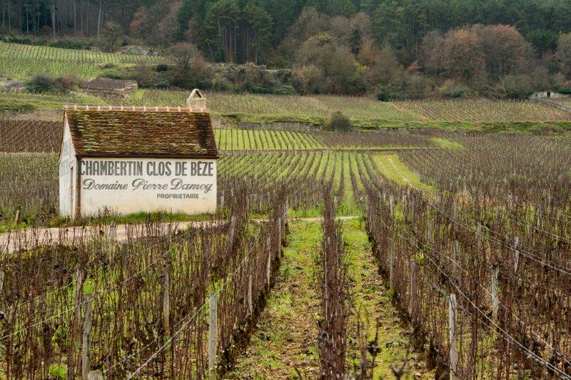 winewankers's tweet photo. World's most expensive #wine is $15K. We want a taste when we visit  @BourgogneWines in Sept! http://t.co/0gMuxQrI2j http://t.co/DKv6nYmSkX