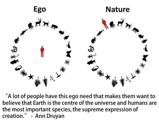 RaceToRights's tweet photo. We are part of the greater picture. NOT the greater picture... Remember that
#peace #equality #love #rights #nature http://t.co/ckHHkPHKpH