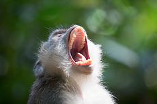 Want to know what our clients think about Clique Paraplanning? Click here to find out! bit.ly/1IEM04L