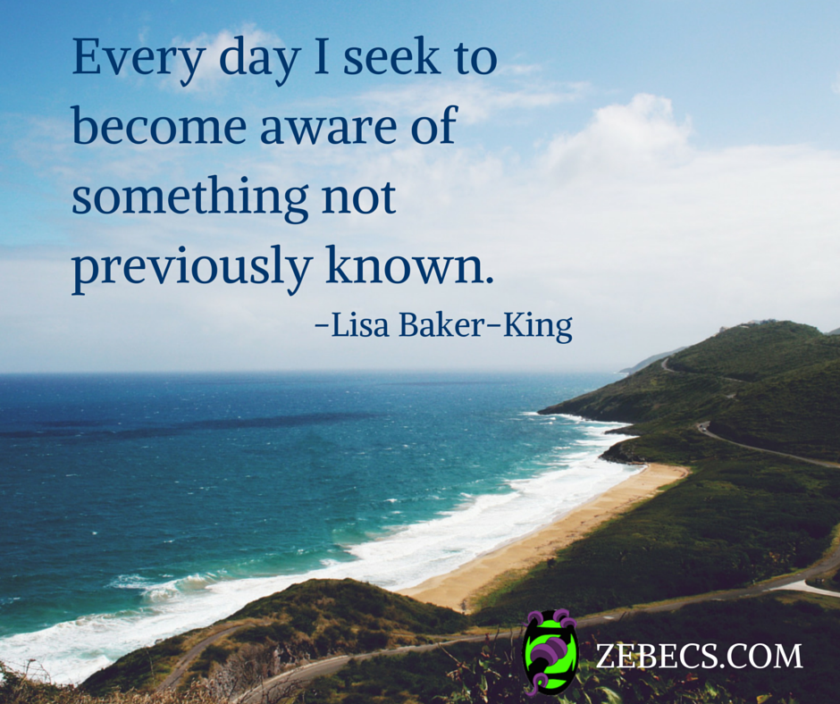zebecs's tweet photo. Everyday I #seek to become #aware3 of something not previously known-Lisa Baker-King #author #IQRTG #lifecoach http://t.co/7QM1njg8we
