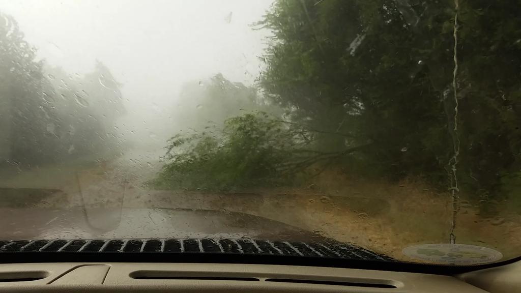 JohnRichTX's tweet image. @KBTXShel cooks point tx #flyingdebris! #straightlinewind