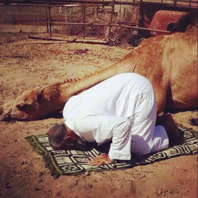 MohamadAlarefe's tweet photo. اللهم استرنا بسترك الجميل
واجعل تحت السّتر مآ ترضَى به عنا
واجعل كل ما أوجعنا خيرة لنا ومغفرة

. http://t.co/PT6FKrxt8C
