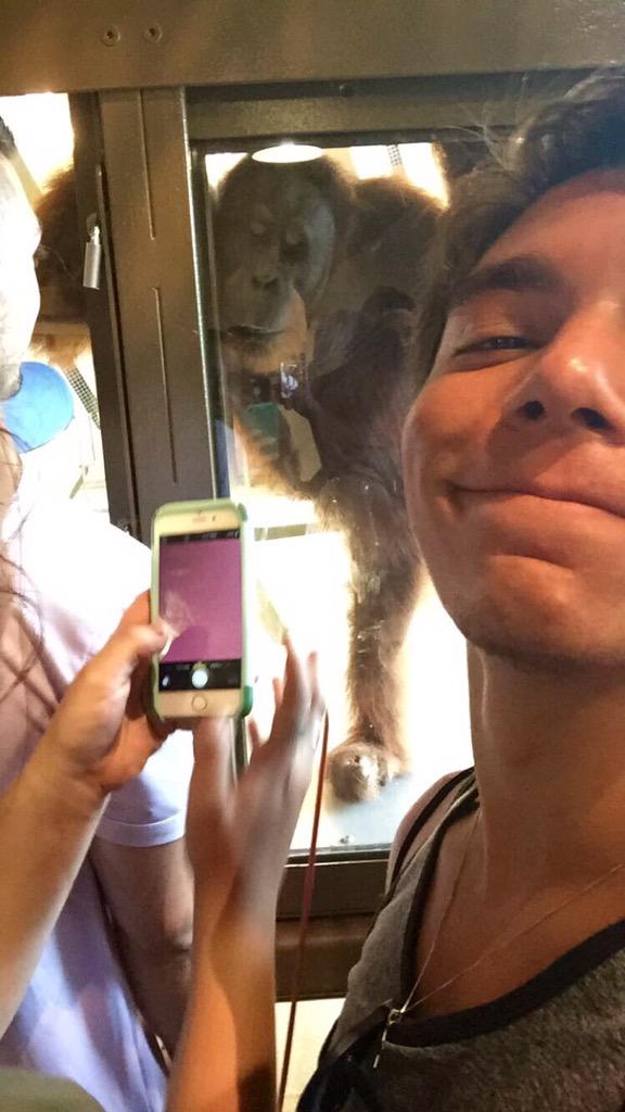 AdrianNiederman's tweet photo. Happy #TotallyYouTueaday! Hey OV! Bet you didn't know I have a brother that's an orangutan named Mark. #ovltk15 http://t.co/DdFIQan62R