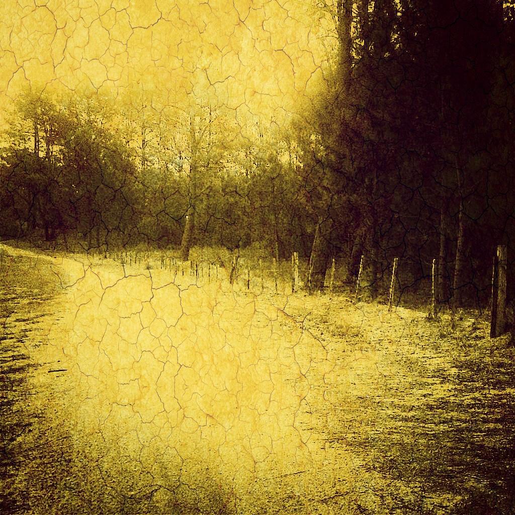 fabrizioturra11's tweet photo. El camino es la recompensa. No lo olvides. http://t.co/dje1uPNWMJ