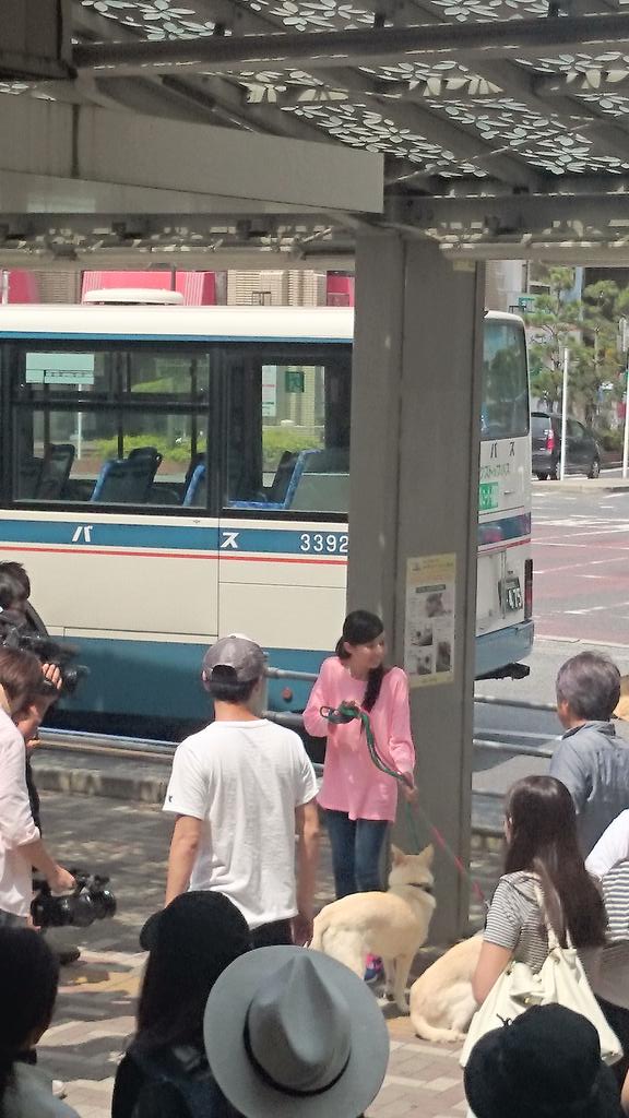 ベッキー 市川駅 志村どうぶつ園 8 12 撮影ロケ 京都のお墨付き