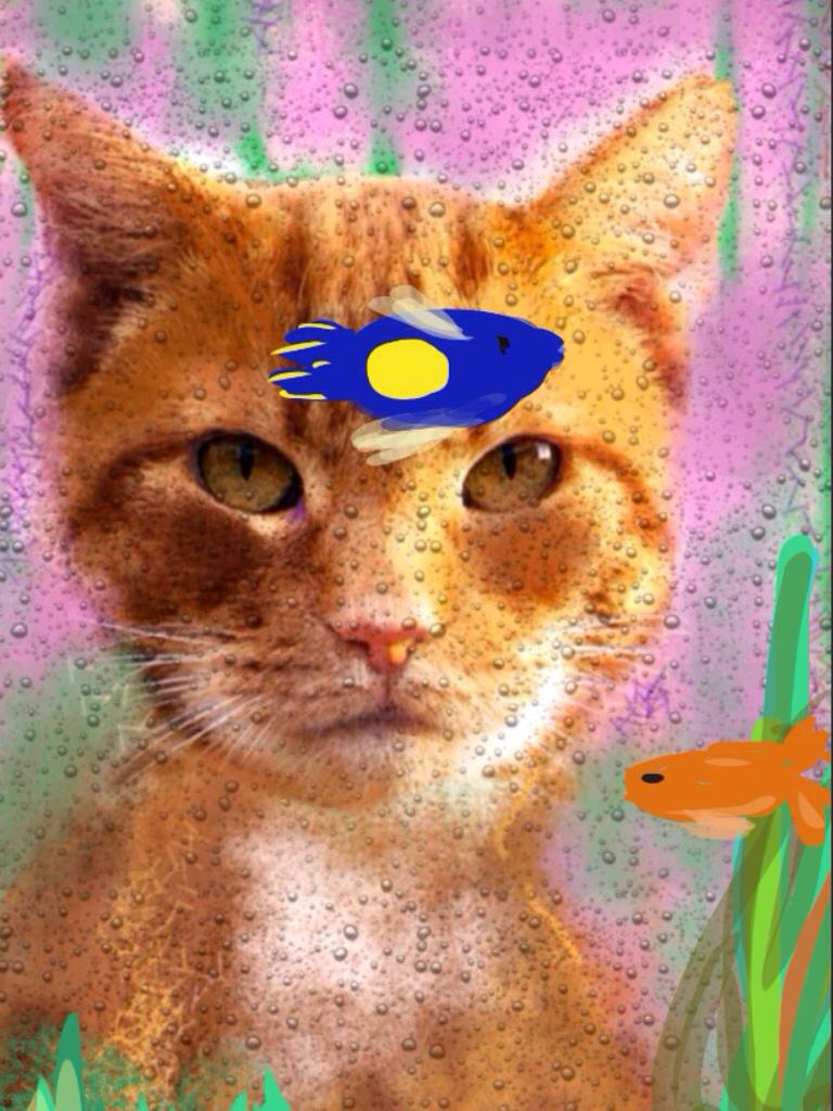 GallerytiiiShaw's tweet photo. Hello, Fish http://t.co/LCfqbTJh2H
