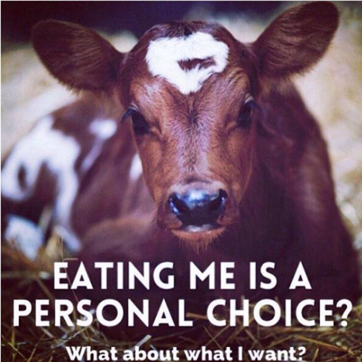 VeganiaA's tweet photo. For our survival and good health we need to consume zero animals. So why do it?
#NonViolence #ethics #farm365 #evolve http://t.co/pAWhdGcBPT