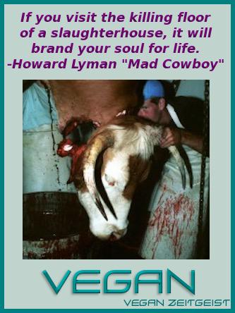 VeganiaA's tweet photo. For our survival and good health we need to consume zero animals. So why do it?
#NonViolence #ethics #farm365 #evolve http://t.co/pAWhdGcBPT