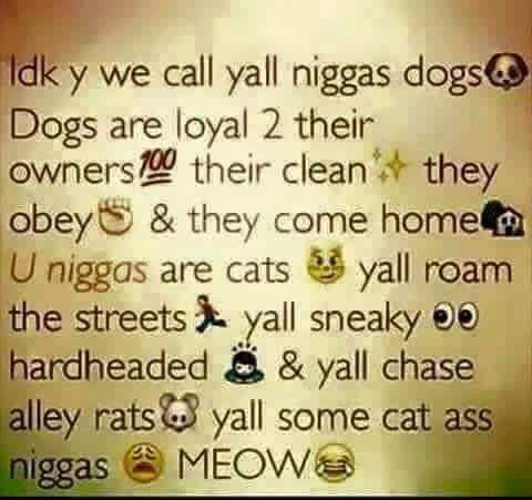 Red5starrRuby's tweet image. 💯💯💯💯💯