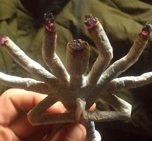TightlyRolled's tweet photo. Favorite for a Hit!! 💨 http://t.co/5eEHqN80q7