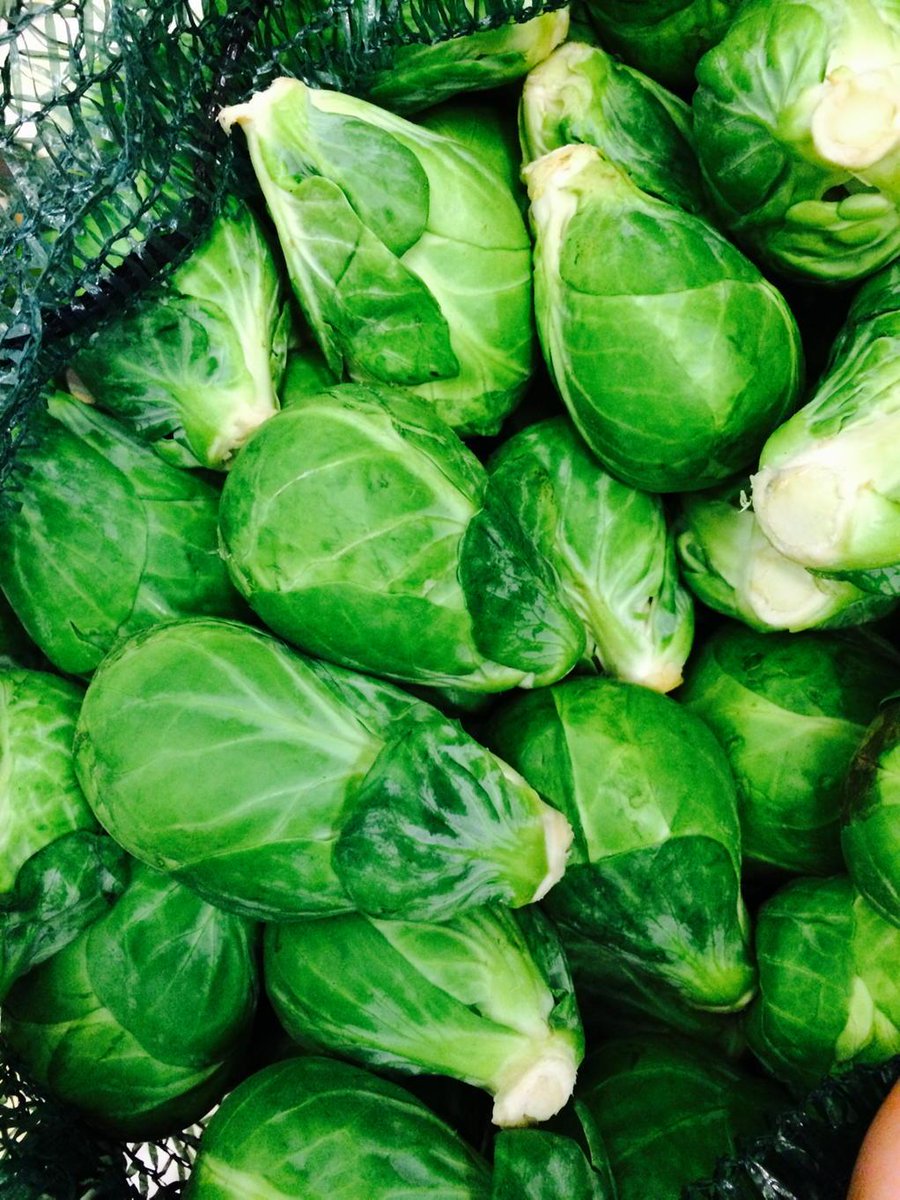 First Sprouts are in &amp; only on P&amp;I First bag bought by <a href="/duncan_allison/">Duncan Allison</a> Christmas is coming 🎅🏿