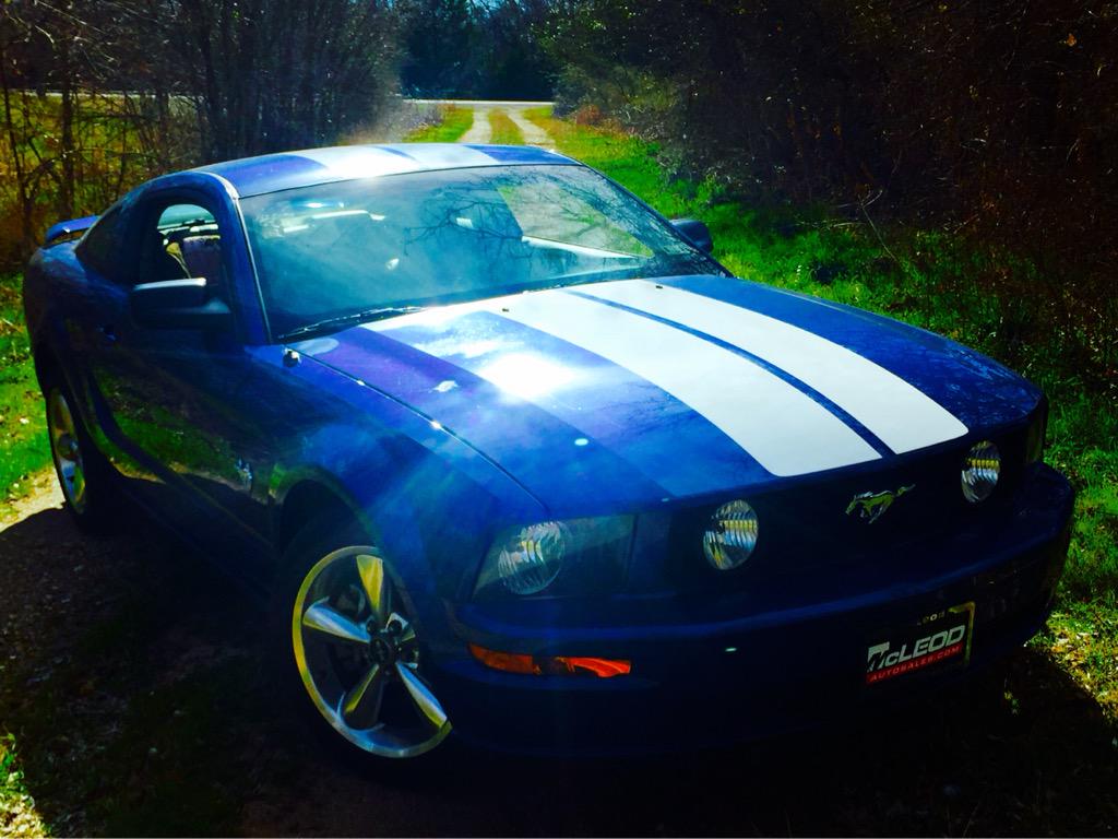 HuntinHogs tweet media