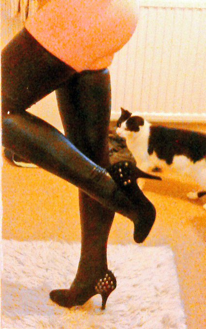 I got some sexy new gifts! Thanks for the PVC hold ups and sexy new studded heels! http://t.co/sYeDU<a href="/tag/thongthursday"class="tags"><span>#thongthursday</span></a>