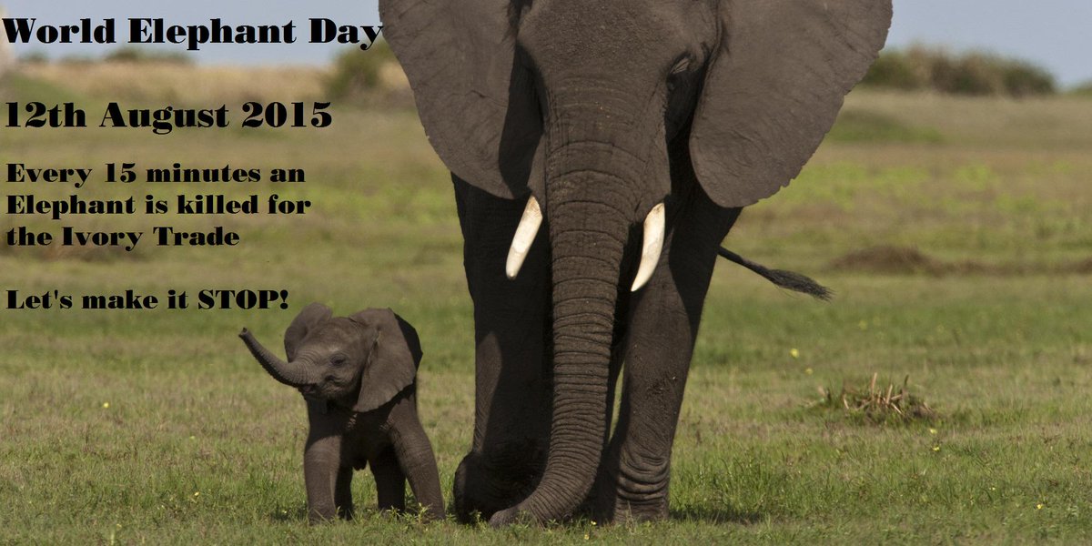 LimassolZoo's tweet photo. Food for thought! http://t.co/2n5b9Hcr62