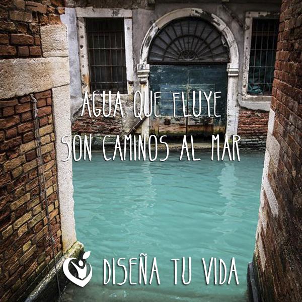 DisenaTuVida_es's tweet photo. Agua que fluye, son caminos al mar. #DiseñaTuVida® #UnSimpleCambio #Trans4you® #OSC http://t.co/74oK65p9x3