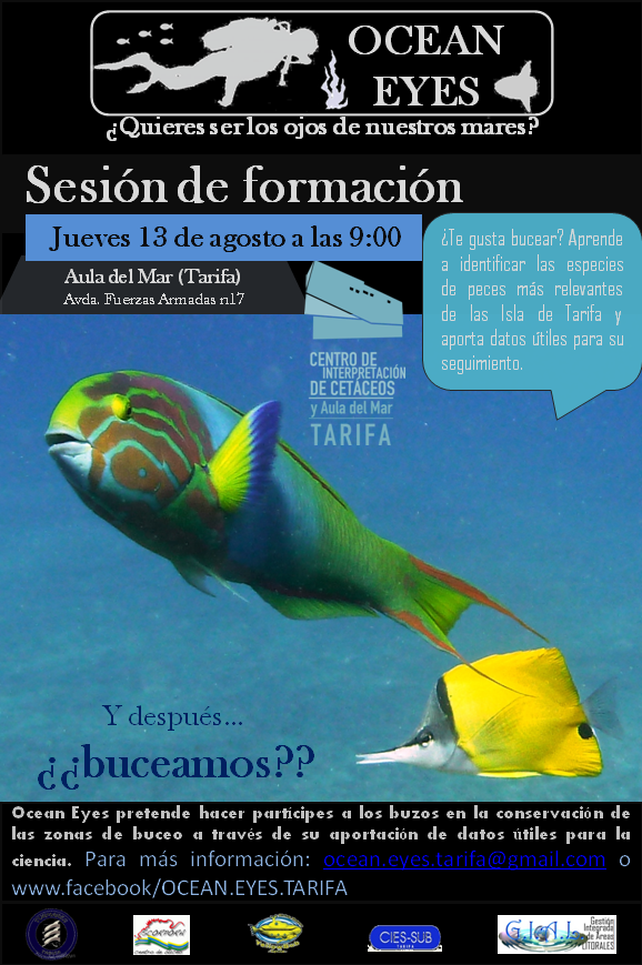 OceanEyesTarifa's tweet photo. ¡¡Recordad que mañana es la siguiente sesión de formación!! ¡¡Posterior inmersión para todos nuestros colaboradores!! http://t.co/sthPVX8HTi