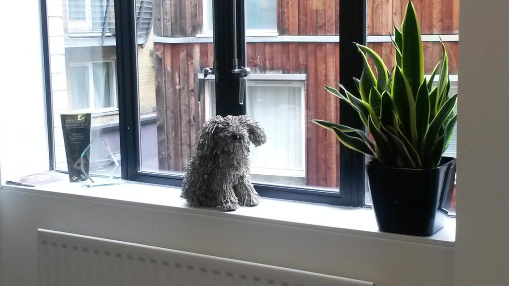 SaraLivesey's tweet photo. Lovely new meeting areas in the office with dog statues @prospect_us #goodworkspace http://t.co/7nrRMSbAgJ
