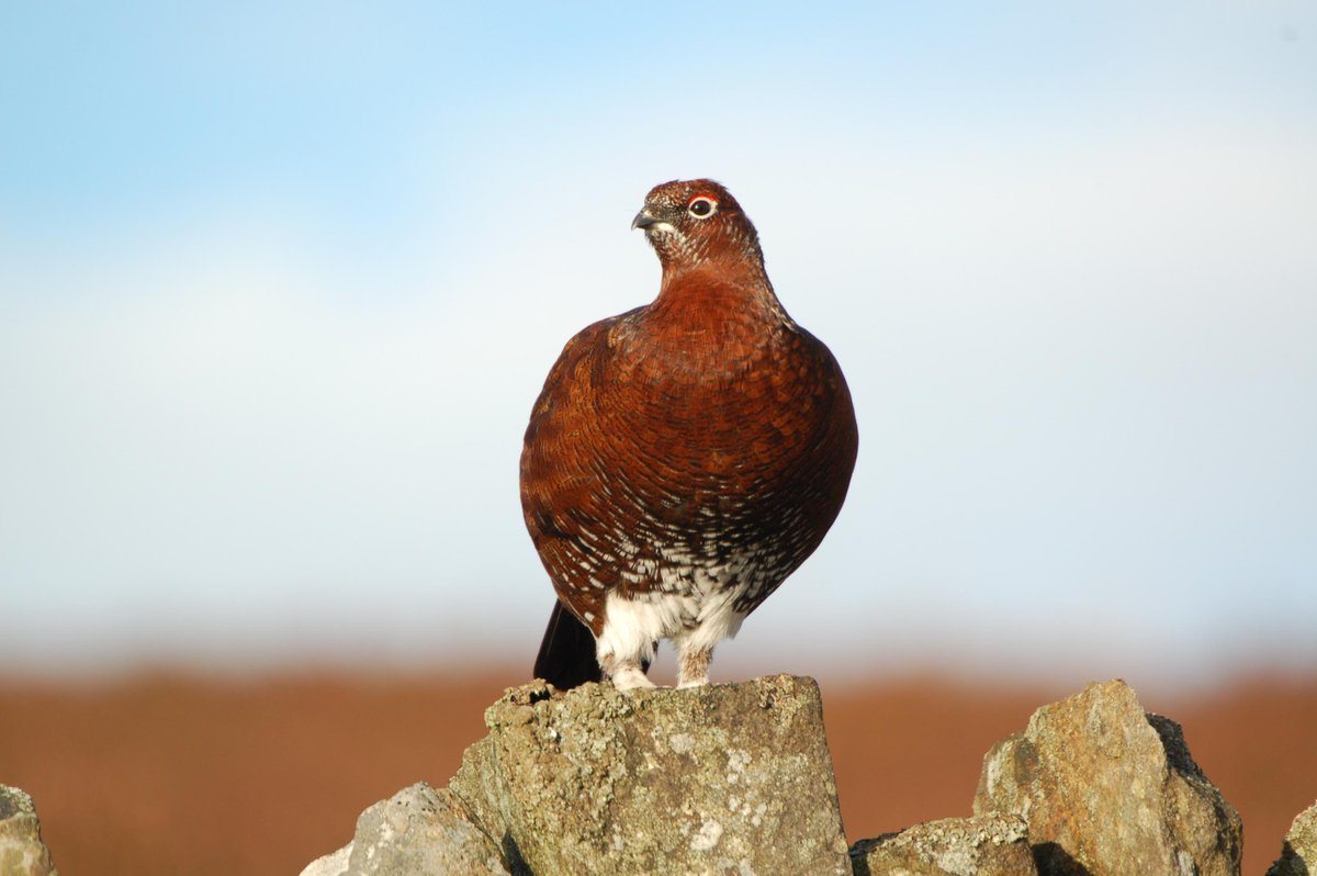 NationalGamekee's tweet photo. Good luck to all today http://t.co/ti8fGZEVw1
