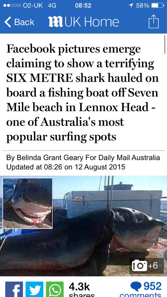 imLucyWatson's tweet photo. this is why I'm scared of the sea http://t.co/pA4YwysS67