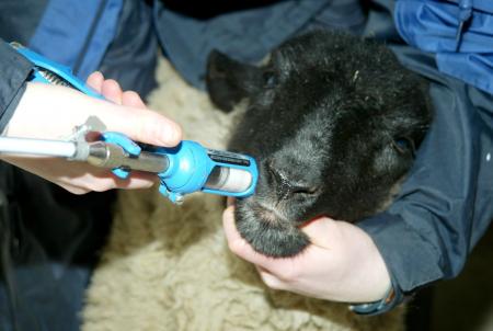ProfJBMatthews's tweet photo. @FarmingVoice Pls RT. Survey closing soon-UK FARMERS, we need ur views on wormers! VMDsurvey https://t.co/NJWOKDcMAI http://t.co/IJ0wWS9Fih