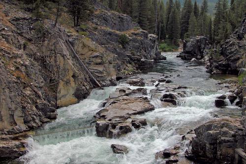 JustinHewitt64's tweet photo. 36 days until we're Idaho bound. #Elkfever #readyforadventure
@FrizzellRurik @MattBusbice @JimShockey_ @EvaShockey http://t.co/tg3zX69Cc7