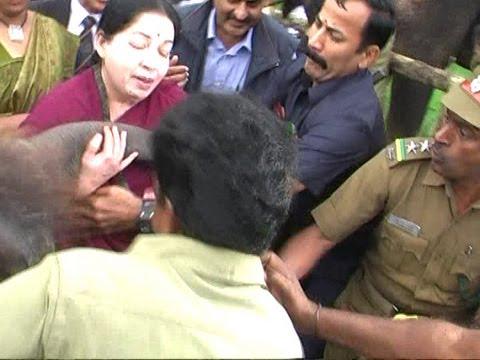 MageshCheyyur's tweet photo. இன்று உலக யானைகள் தினம்..
யானைகளை பாதுகாக்க வேண்டும்
காவேரியை மறக்க முடியுமா?? #SaveElephan http://t.co/dQ1PT1XX9s