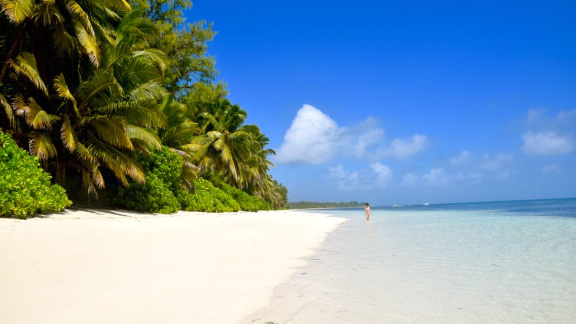 Damn! I was literally working in snow today. Take me back to the Seychelles😰 <a href="/DesIsland/">Desroches Island</a>