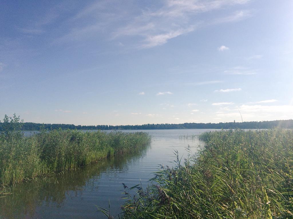 picsofsweden's tweet image. Mälaren in Sweden.