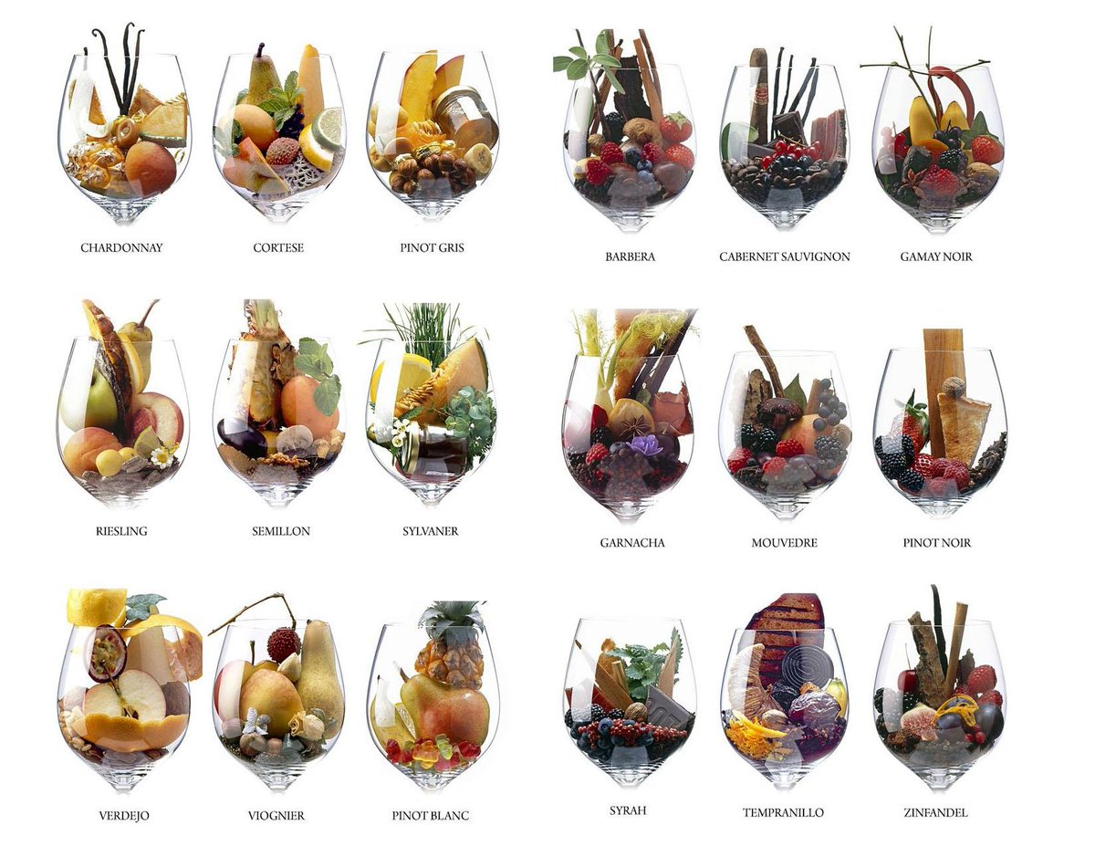 winespiritsldn's tweet photo. HOW beautiful are these visual tasting notes? #wine #tastingnotes #winetasting http://t.co/CIZ1xuGpQk