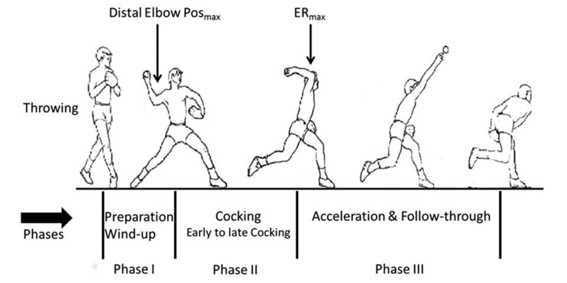 Journal Of Sports Sciences Jss On Twitter Sequence